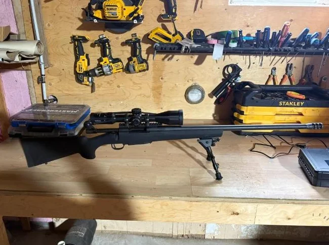 .223 howa model 1500