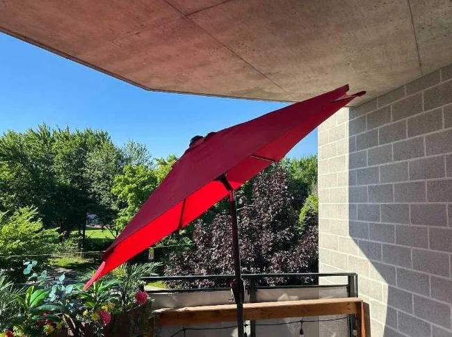 Parasol thumbnail 2