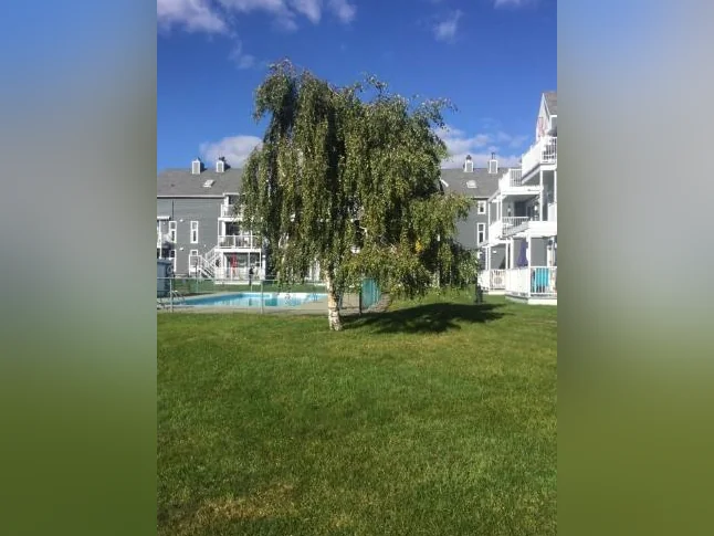 Condo 31/2 à louer MAGOG, TT INCLUS, REZ-D-Ch, meublé, équipé thumbnail 7