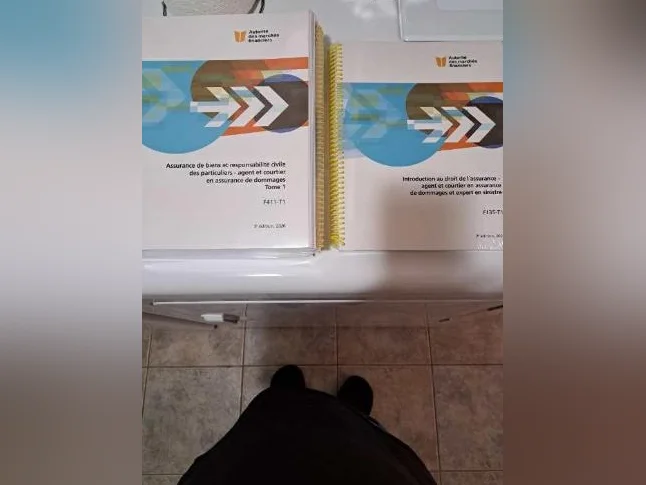 Manuels scolaires de l'AMF pour AEC en Assurance à vendre à bon prix