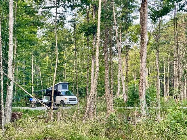 Westfalia eurovan T4 1993