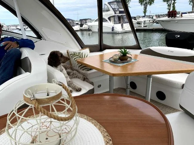 2009 Cruisers Yachts 330 Express thumbnail 7