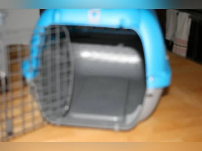 Cage de transport pour chat ou chien thumbnail 3