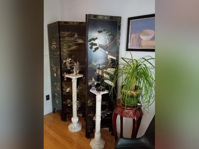 Tres beau séparateur asiatique, en tres bon état, laisserait a 295$ thumbnail 4