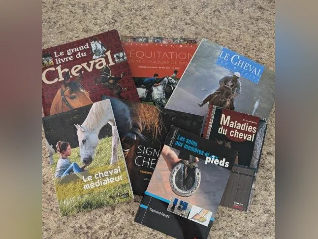 Articles chevaux thumbnail 10