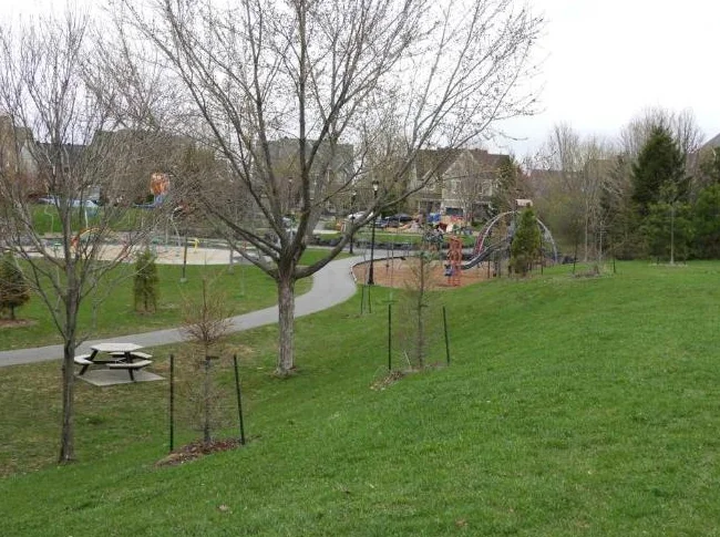 5 1/2 super Parc de Mont St-Hilaire et pres de la Gare thumbnail 5