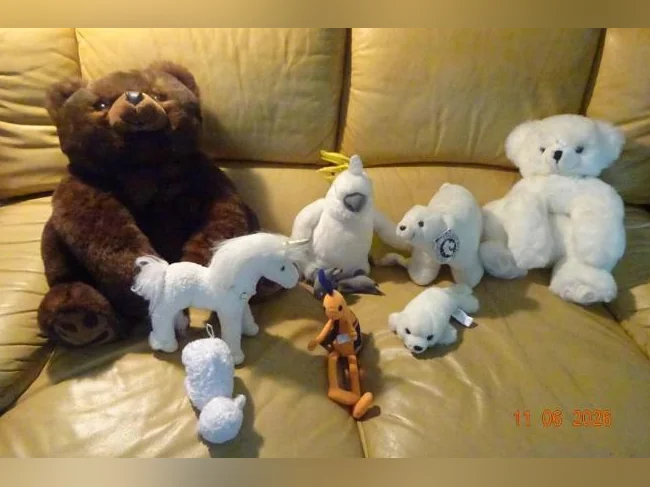 ensemble de peluches diverses