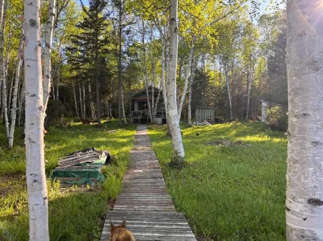 chalet a vendre a la baie carrière thumbnail 7