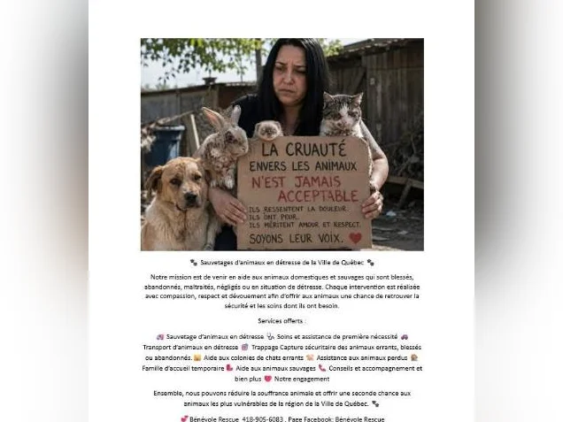 Bénévole Rescue thumbnail 2