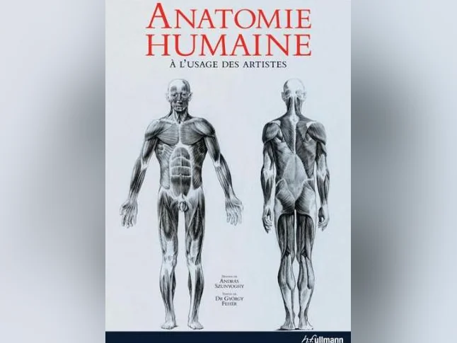 1200 illustrations anatomiques du corps humain (dessins)