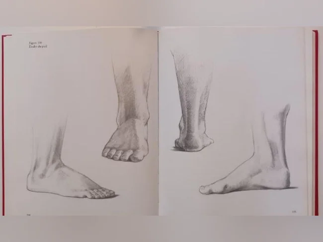 1200 illustrations anatomiques du corps humain (dessins) thumbnail 4