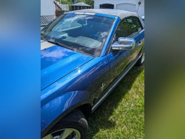 Mustang thumbnail 8