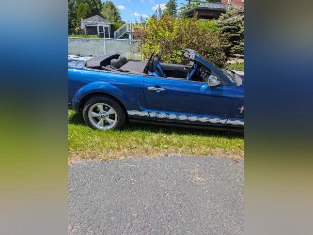 Mustang