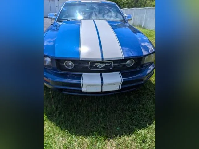 Mustang thumbnail 9