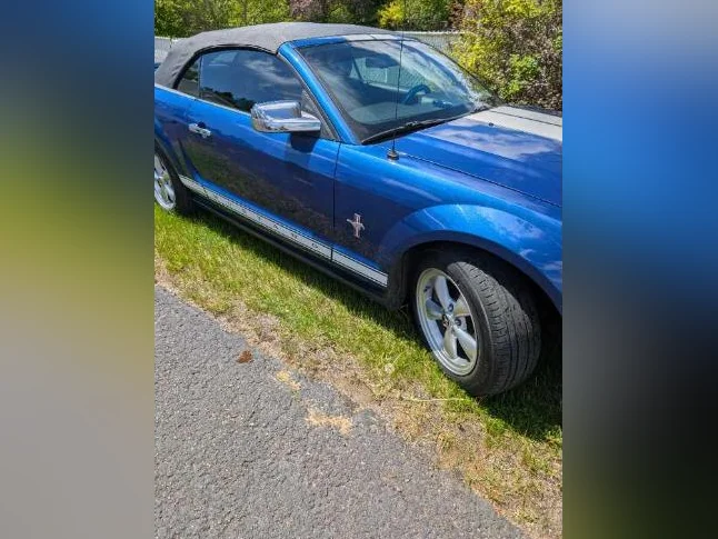 Mustang thumbnail 10