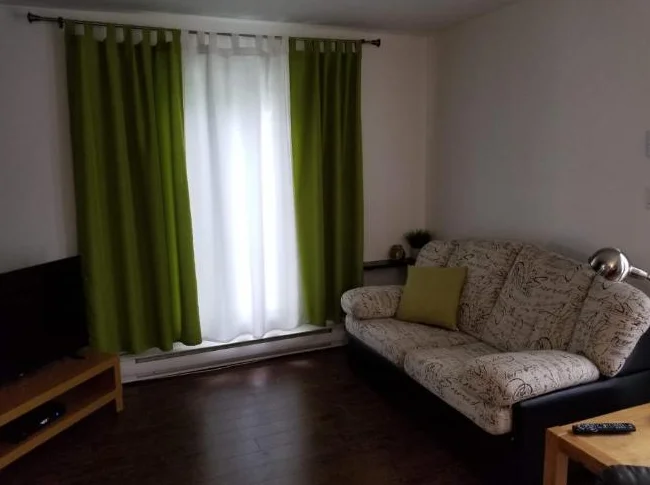 Duplex Quartier École Sacré Coeur thumbnail 9
