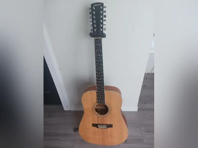 Guitare Larrivée