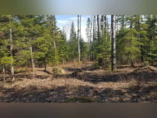 Terrains à louer à Roberval !