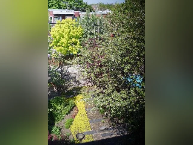Appartement 6 1/2 très lumineux, Petite-Patrie thumbnail 9