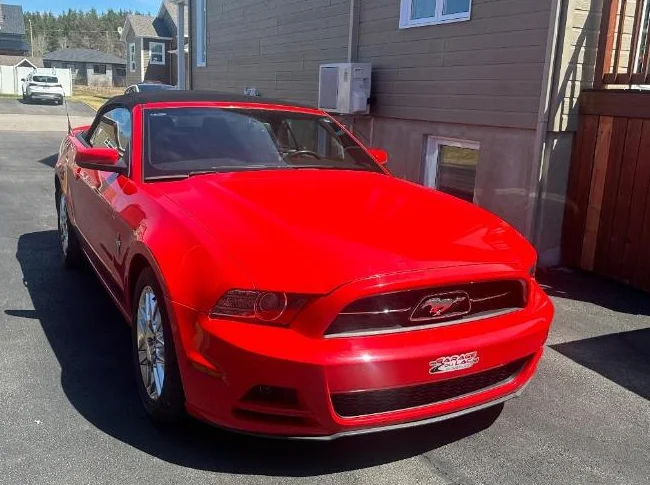 Mustang Premium 2013