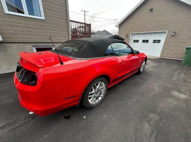 Mustang Premium 2013 thumbnail 8