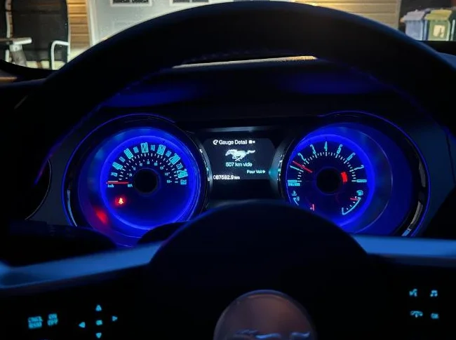 Mustang Premium 2013 thumbnail 6