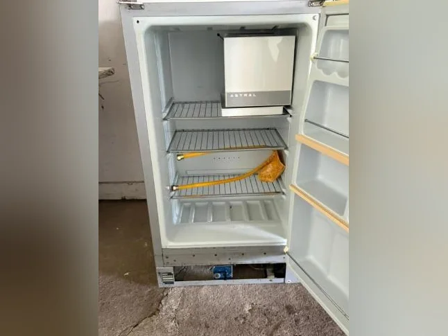 Frigidaire propane réfrigérateur camp chasse pêche thumbnail 5