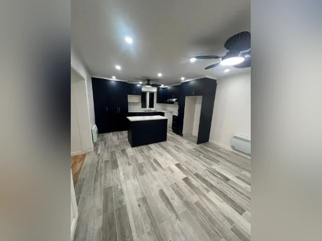 4½ 100% RÉNOVÉ-2E TRIPLEX M. H. Beaugrand- AVE BILAUDEAU, mtl-l LIBRE MAINTENANT 1450$/mois thumbnail 4