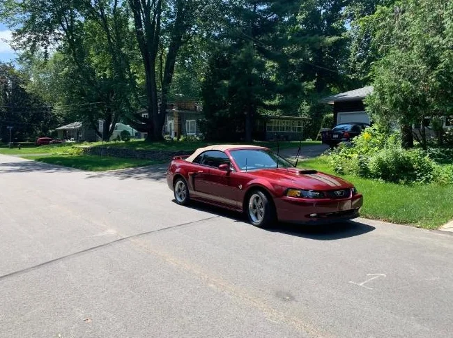 Mustang 2004 thumbnail 2
