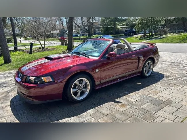 Mustang 2004