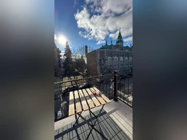 CESSION DE BAIL – GRAND 5 1/2 LUMINEUX (HOCHELAGA /PREFONTAINE) thumbnail 8