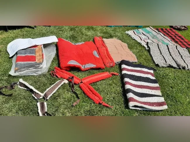 Tapis de selle et sous tapis