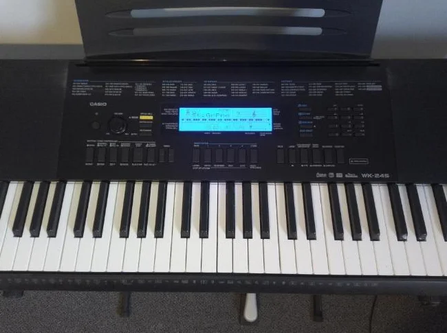 Clavier Casio WK-245 avec pédale de sustain et support