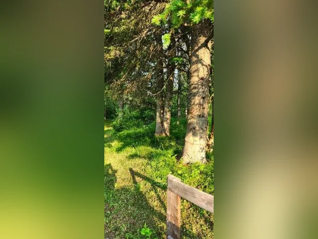 Maison avec terre en gaspésie thumbnail 6