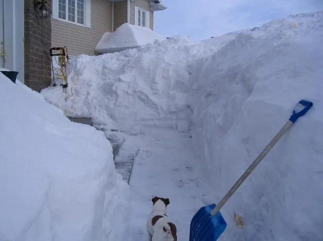 Déneigement des espaces piétons (près pour l'hiver 2026-2027)