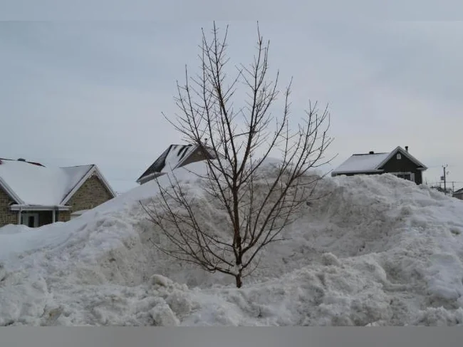 Déneigement des espaces piétons (près pour l'hiver 2026-2027) thumbnail 2