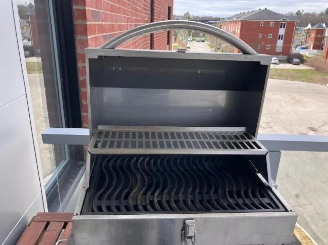 BBQ Napoleon portatif électrique thumbnail 6