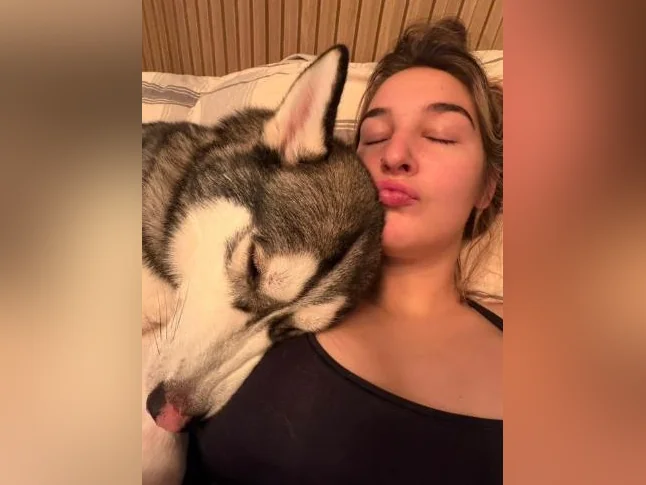 Husky siberien thumbnail 8