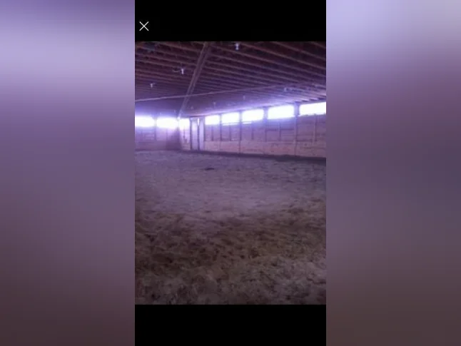 Pension pour chevaux thumbnail 4