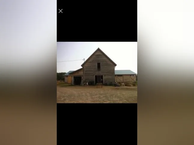Pension pour chevaux