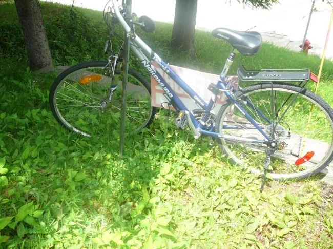 Vélos thumbnail 8