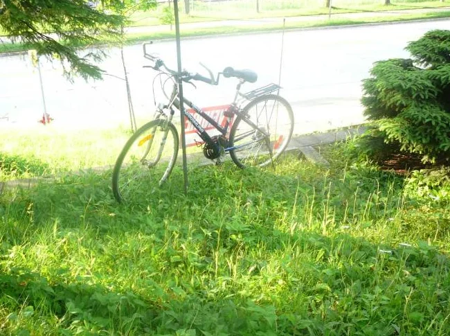 Vélos thumbnail 3