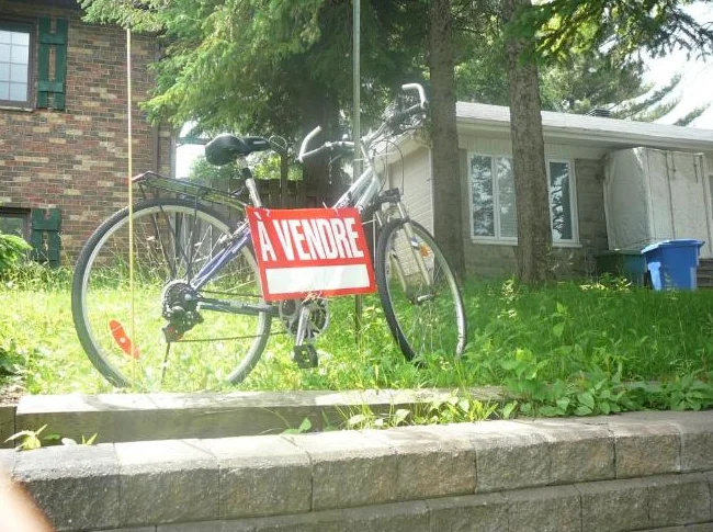 Vélos thumbnail 7