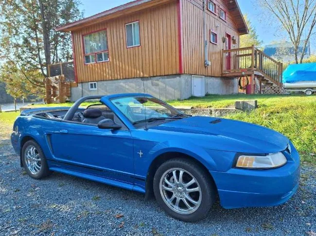 Mustang 2000 thumbnail 4