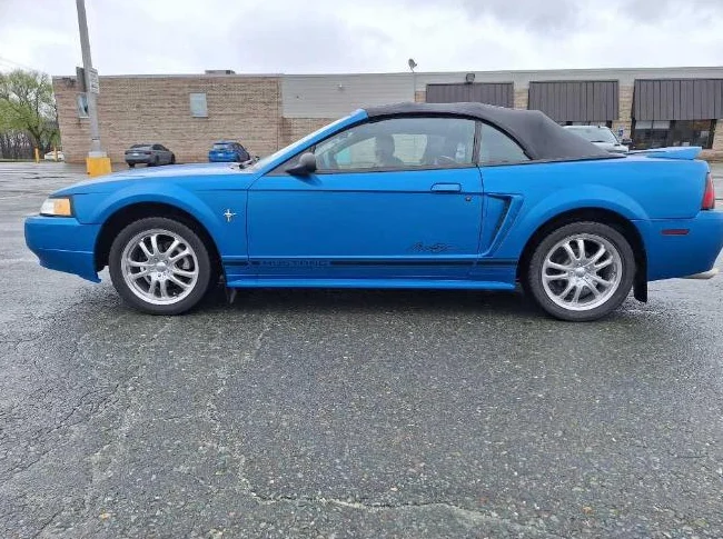 Mustang 2000