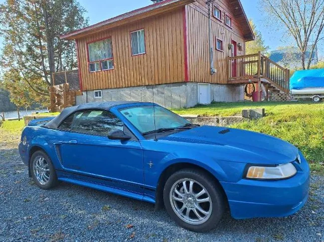 Mustang 2000 thumbnail 10