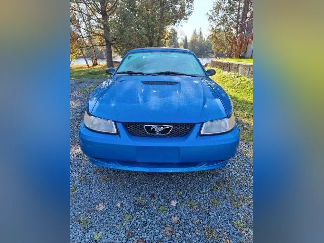 Mustang 2000 thumbnail 9