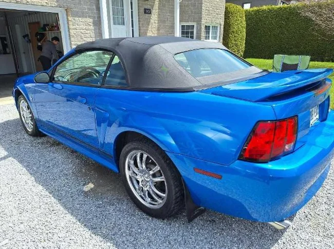 Mustang 2000 thumbnail 2