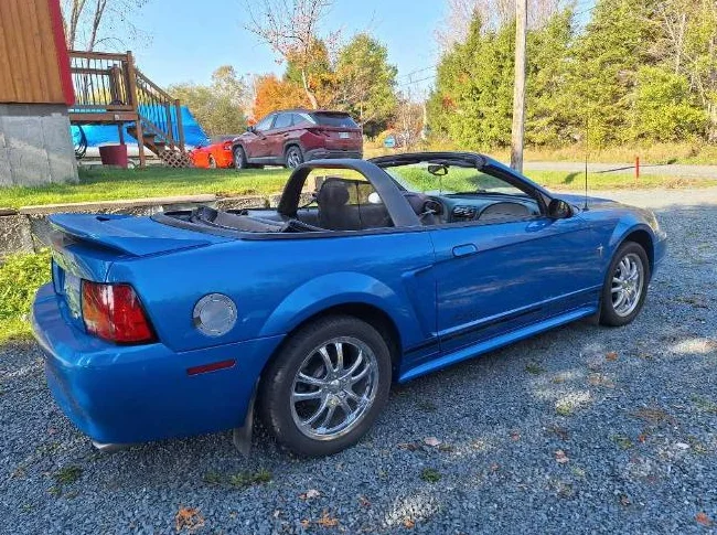 Mustang 2000 thumbnail 6