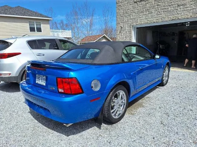 Mustang 2000 thumbnail 3